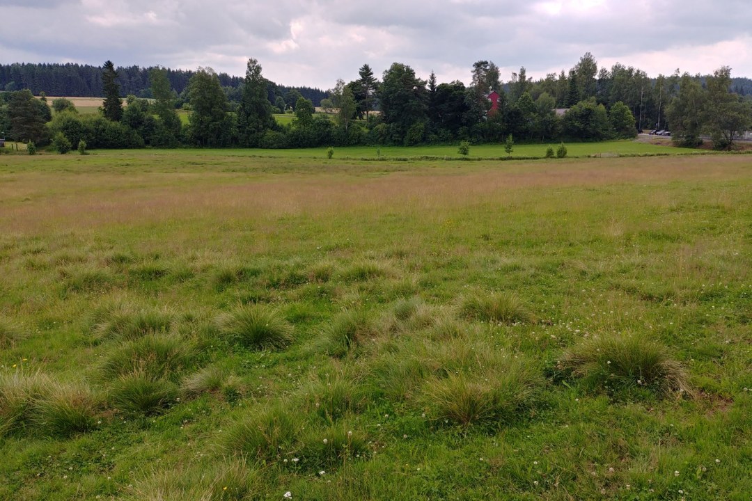 Weideschutzgebiet Brand | © Nadja Danner