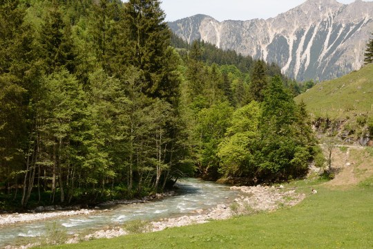 Ein gemäßigter Abschnitt des Wildfluss Ostrach | © Henning Werth