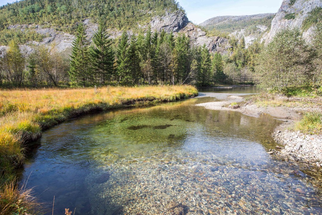 Fluss in den Bergen | © Andreas Hartl