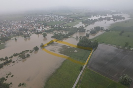 Die 2024 vom LBV gekaufte Ackerfläche Glonnaue bei Weichs | © Cyrus Mahmoudi