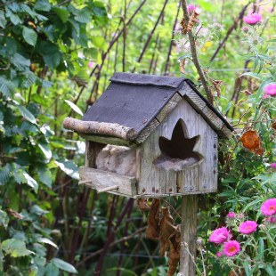 In einem alten Vogelfutterhaus wird Wolle als Nistmaterial für Vögel angeboten | © Carola Bria