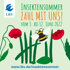 Insektensommer 2022