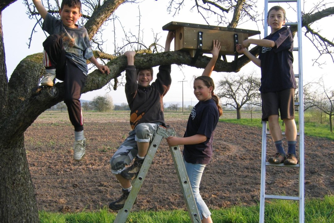 Kinder montieren einen Steinkauzkasten | © LBV
