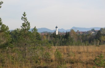 LBV-Schutzgebiet Königsdorfer Weidfilz | © B. Weis