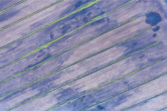 Torfabbau Böhmen | © Dr. Olaf Broders