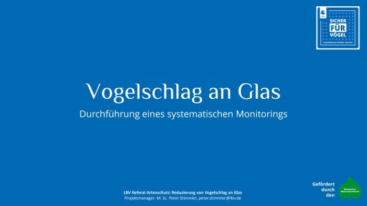 Präsentation Monitoring Vogelschlag