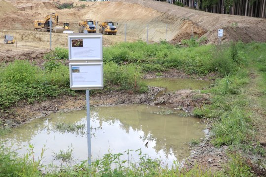 Natur auf Zeit_angelegter Amphibienteich | © LBV