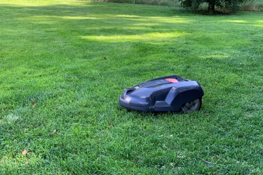 Mähroboter im Garten | © Peter Bria