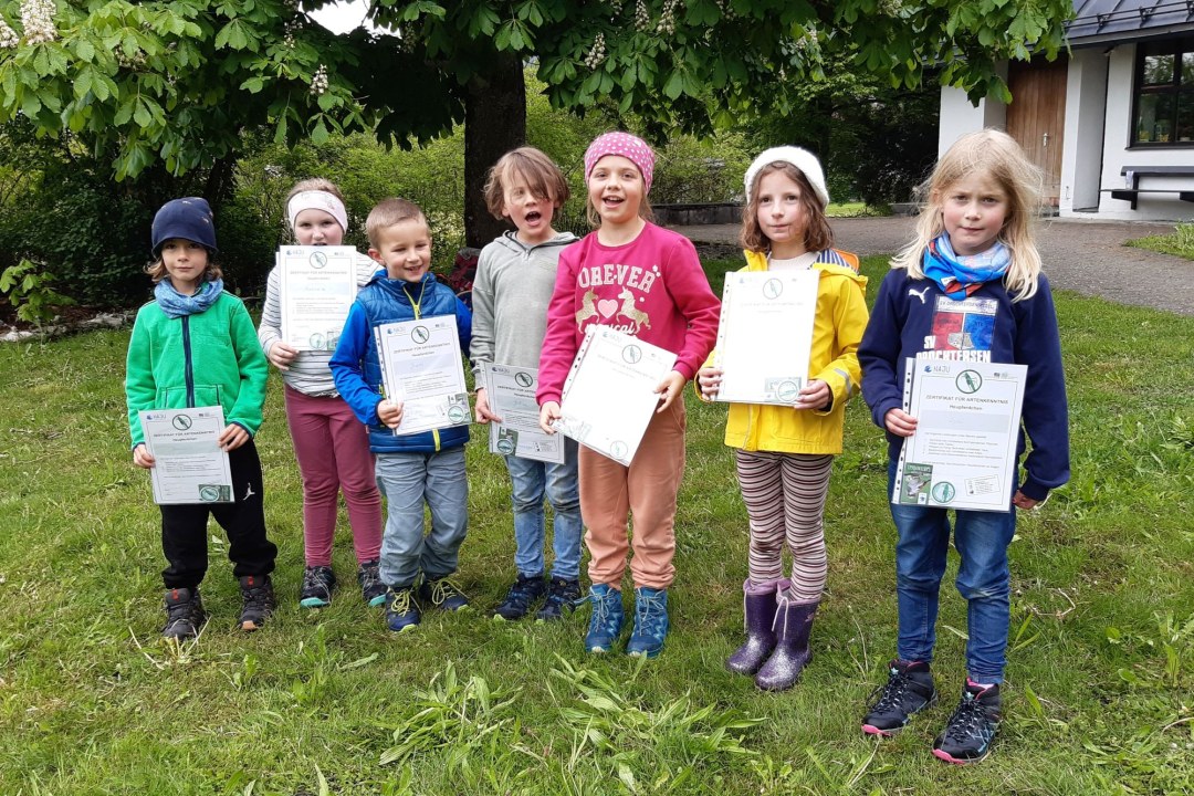 Kinder haben Heupferdchen bestanden | © Johanna Trischberger