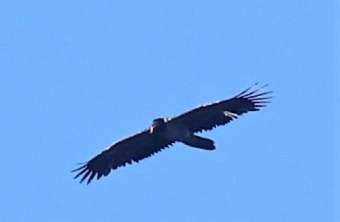 Recka im August 2023 | © Matthias Feldhoff