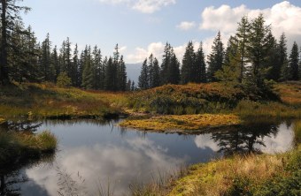 Riedberger Horn im Sommer mit kleinem See im Vordergrund | © Dr. Eberhard Pfeuffer