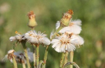 Erding | © Rita Rott (Erding)