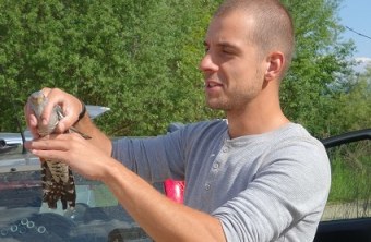 Sebastian Böhm beim Freilassen eines besenderten Kuckucks | © H. Lohn