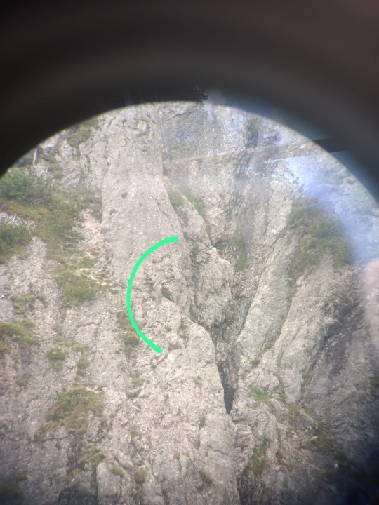 Sisi an einem typischen Schlafplatz | © Louisiane Nationalpark, LBV