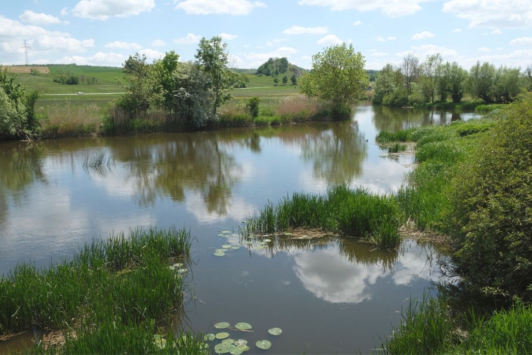Symbolbild Gewässer Woernitzn im Ries | © Pfeuffer Dr. Eberhard