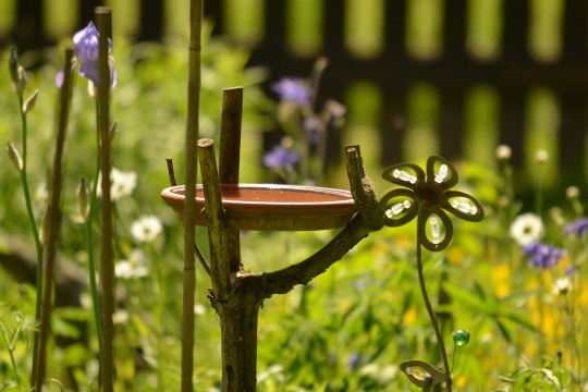 Ein Blumentopfuntersetzer ist erhöht zwischen ein paar Stöcke gesteckt | © Thomas Staab