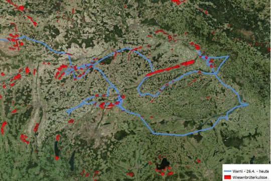 Karte | © Bing Aerial