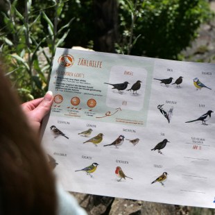 Zählhilfe Stunde der Gartenvögel | © Franziska Back