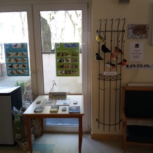 | © Kornelie Schauer