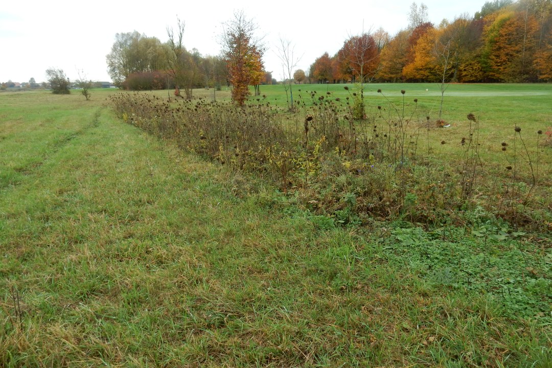 Golfplatz | © Christian Stierstorfer