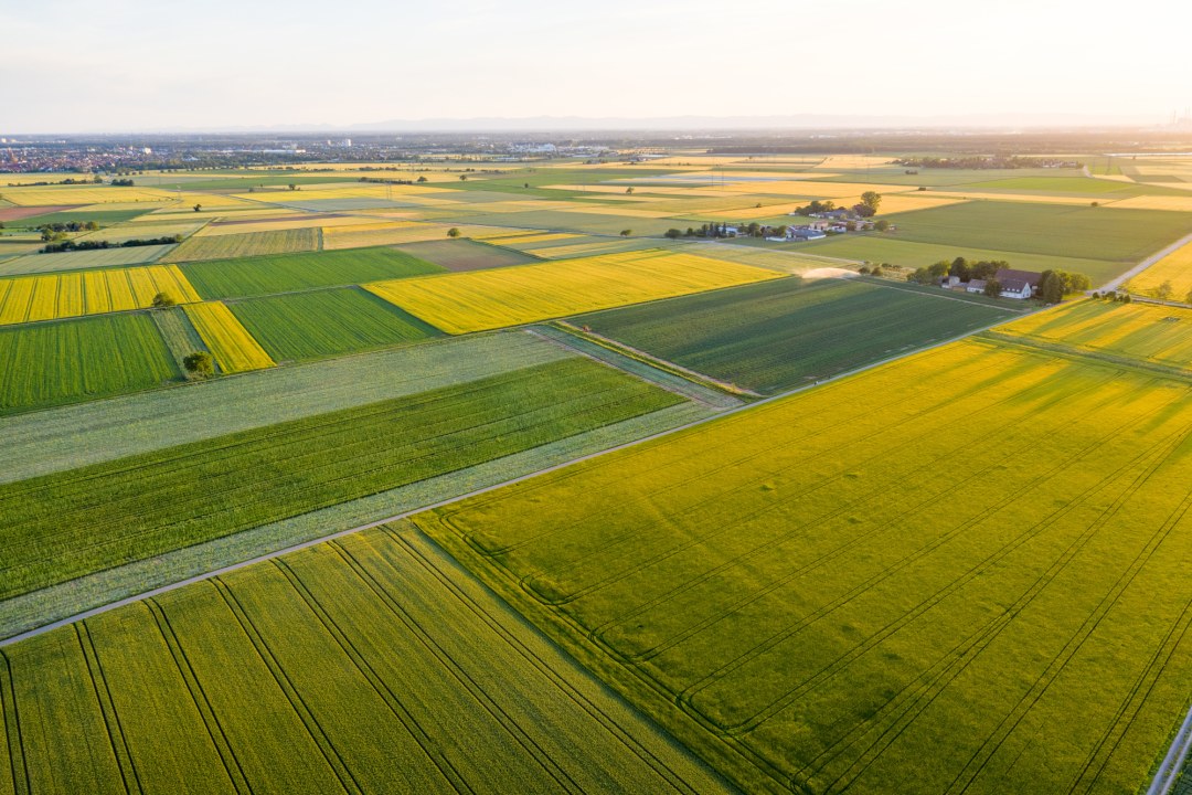 Agrarlandschaft | © Dr. Olaf Broders