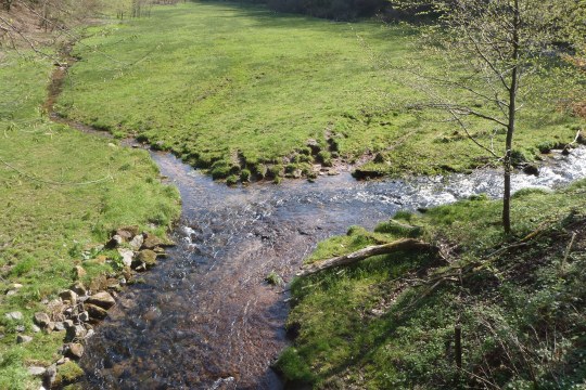 Naturnaher Bach | © Maximilian Sehr
