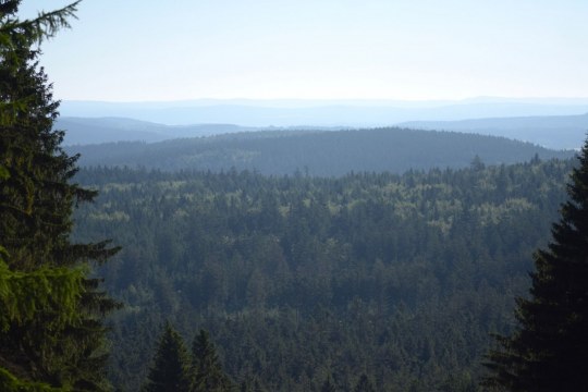 Blick von Kornbergskihang | © Swanti Bräsecke-Bartsch