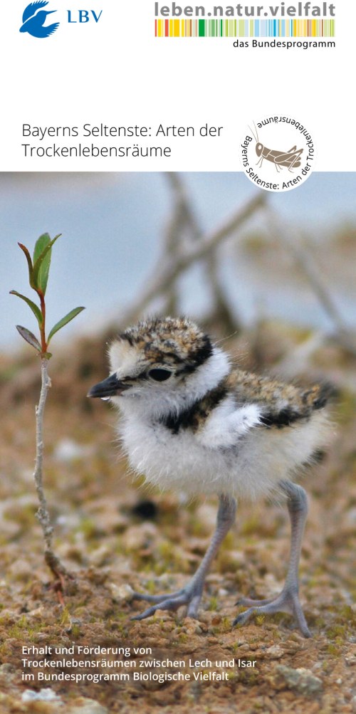 Flyer LBV Projekt Trockenlebensräume