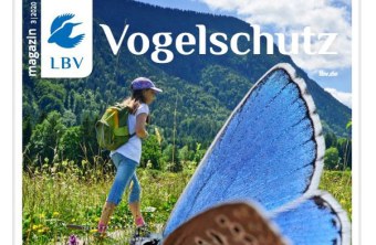 Cover Vogelschutz 03-2020 mit einem Bläuling auf einem Daumen, dahinter ein wanderndes Mädchen
