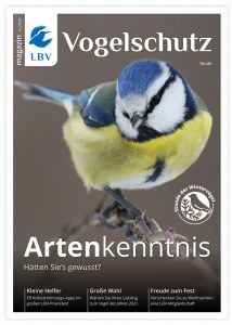 Cover des Vogelschutzmagazins Ausgabe 4/2020, auf dem Cover ist eine Blaumeise