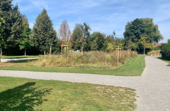 Kitzingen  | © Franziska Enders (Kitzingen)