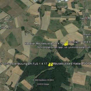 Fundorte der toten Greifvögel bei Cham 2017 | © LBV