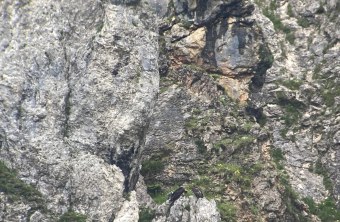 Generl und Luisa in der Halsgrube am 09.07.25 | © Astrid Theby