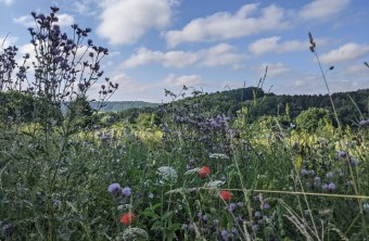 Nürnberger Land | © Gisela Schuster (Nürnberger Land)