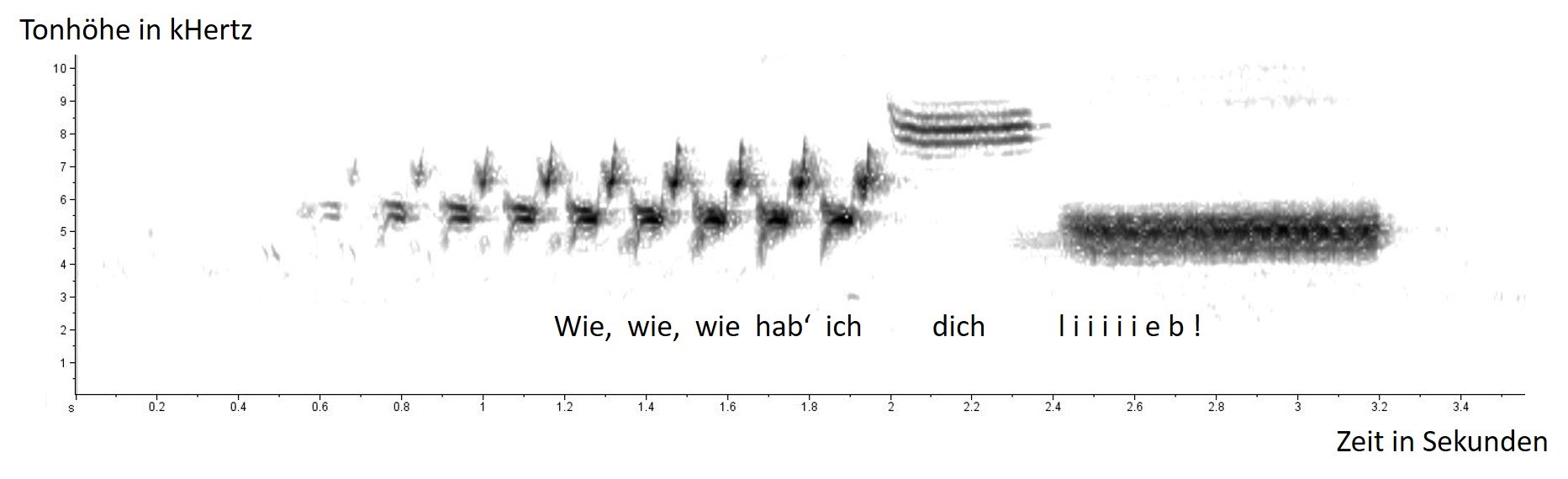 Goldammer Sonogramm