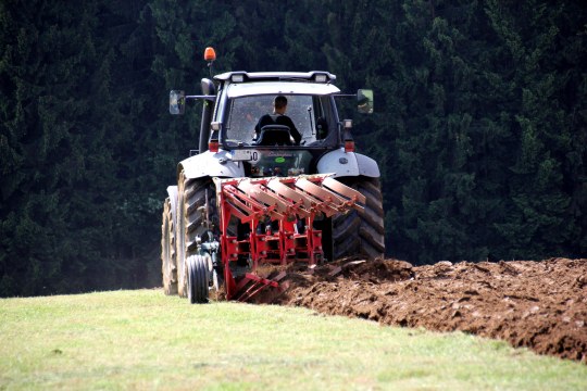 Traktor auf einem Feld | © Hans Riesenthal