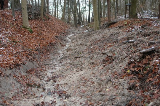 Zerstörte Kalktuffquelle in Dittenheim, man sieht nur einen schmalen Wasserlauf durch einen Wald | © Eva Schubert