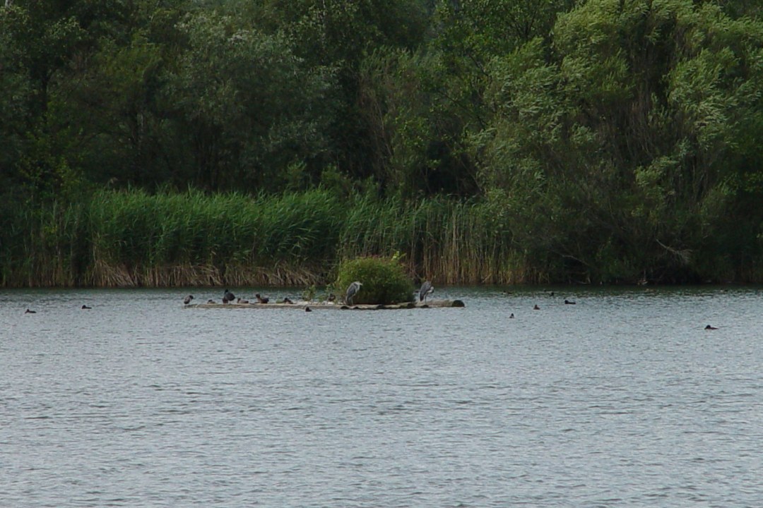 LBV-Schutzgebiet Parkstettener Weiher | © Natascha Neuhaus