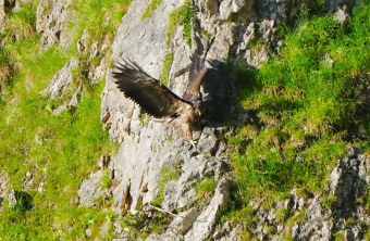 Luisa kurz vor ihrem Erstflug |© Christian Steiger