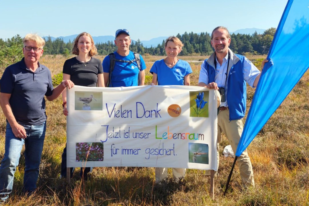 Michael Leukam und Hannah Müßener (ENTEGA), Martin Kleiner und Brigitte Wegmann (beide LBV GAP/WM-SOG) und Alf Pille (LBV) im nördlichen Teil der Osterseen (v.l.n.r). Foto: Thomas Guggemoos.
