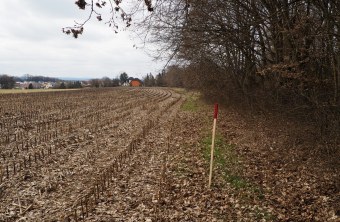 Markierung von Maßnahmen im Gelände April 2021 2 | © Franziska Wenger