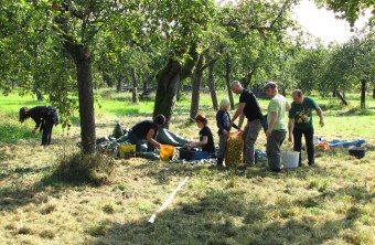 Ehrenamtliche auf einer Streuobstwiese | © Thomas Staab