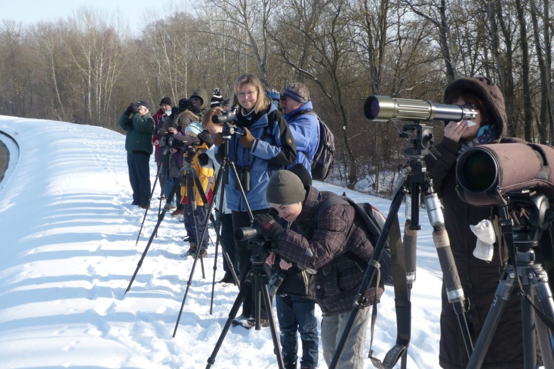 LBV-Ehrenamtliche bei der Vogelbeobachtung | © Rudolf Wittmann