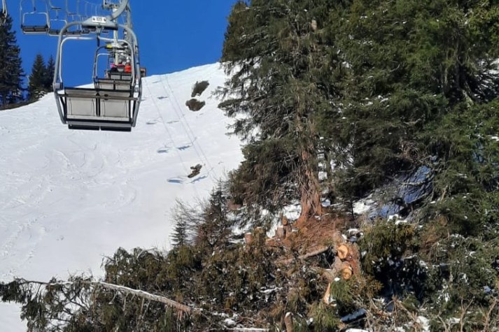 Scheidtobel | © Tanja König