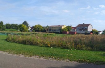 Kitzingen | © Rouven Enders (Kitzingen)