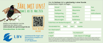 Zeitungsmeldebogen bunt 189x80