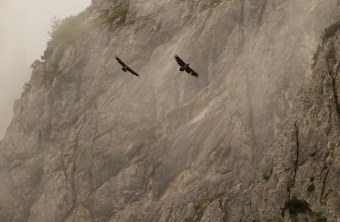 Sisi und Recka im August 2023 | © Uwe Stähler