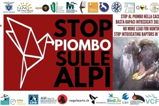 Das Logo der Initiative und die unterstützenden Organisationen