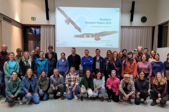 Bartgeierteam 2024 |© NPV