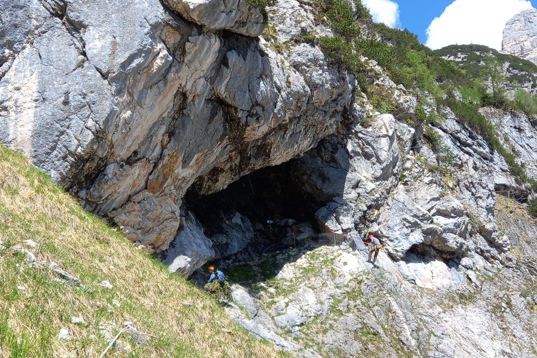 Materialtransport und Zaunbau |© Silke Moll